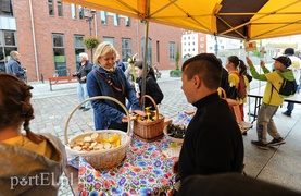 Jadą przez kraj, żeby pomóc pszczołom
