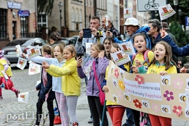 Jadą przez kraj, żeby pomóc pszczołom