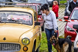 Takie auta to skarb!