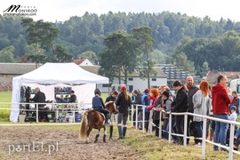 Pony Cup 2017 za nami