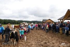 Pony Cup 2017 za nami