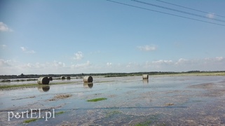 Zdjęcie nadesłane przez mieszkańca miejscowości Klepa