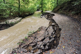 Bażantarnia zniszczona przez Srebrny Potok, ale Bażant się odbędzie