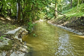 Jak to z powodzią było