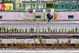 Tramwaje ruszyły po nowych torach