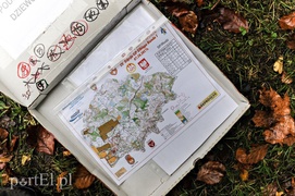 Orientuj się w lesie