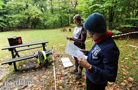 Orientuj się w lesie