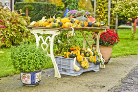 Jesień rozkwita głębokimi barwami