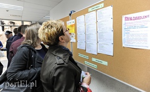 W poszukiwaniu pracy