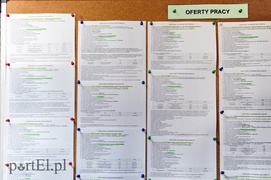 W poszukiwaniu pracy