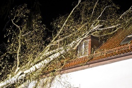 Drzewo przewróciło się na dom. Pracowita niedziela strażaków