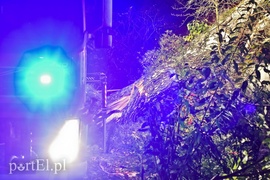 Drzewo przewróciło się na dom. Pracowita niedziela strażaków