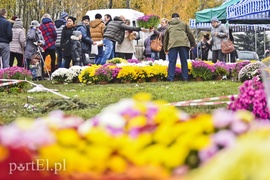 Elblążanie odwiedzają groby bliskich
