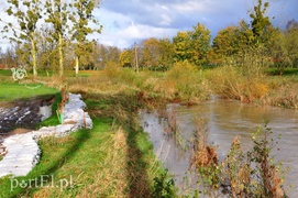 Kolejny wał przecieka