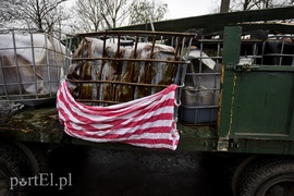 Wypadł ładunek, przez ponad 4 godziny ruch był zablokowany   (aktualizacja) 