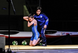 To był dobry, żółto-biało-niebieski rok