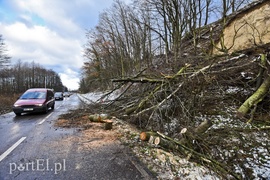 Skarpa z drzewami osunęła się na drogę