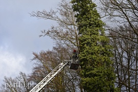 Skarpa z drzewami osunęła się na drogę