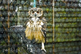 Każdy osobnik jest cenny