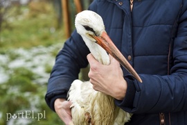 Każdy osobnik jest cenny