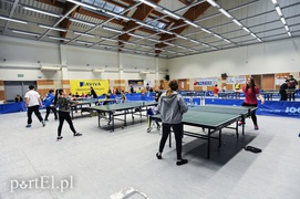 Ferie (zdez)organizowane