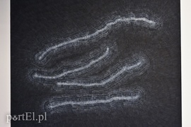 Galeria naznaczona BliSnami