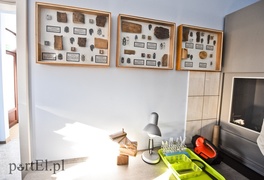 Fito na cito w porcie