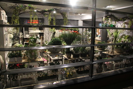 Dzień Kobiet w Kwiaciarni Romantycznej