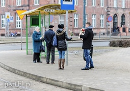 Piękne róże dla pięknych pań!