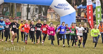 Biegiem po parku Modrzewie
