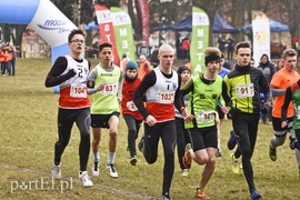 Biegiem po parku Modrzewie