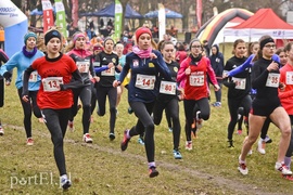 Biegiem po parku Modrzewie