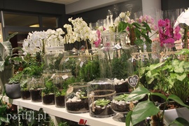 Święta Wielkanocne w Kwiaciarni Romantyczna
