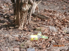 Sadowa jak wysypisko śmieci  (list Czytelniczki) 