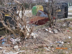 Sadowa jak wysypisko śmieci  (list Czytelniczki) 