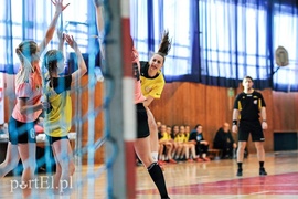 Pantery lepsze od Truso (piłka ręczna)