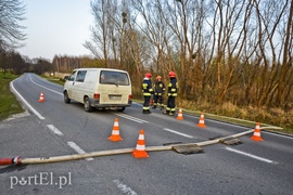 Pożar traw rozprzestrzenił się do stolarni