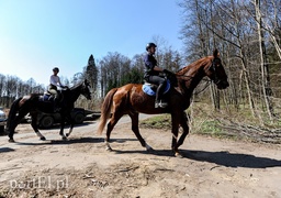 Zasadzili dwa tysiące nowych drzew