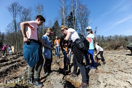 Zasadzili dwa tysiące nowych drzew
