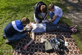 Armagedon w parku Planty