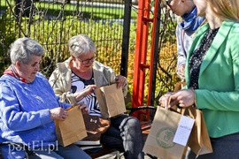 Bratki na Dzień Ziemi  (akcja portEl.pl)