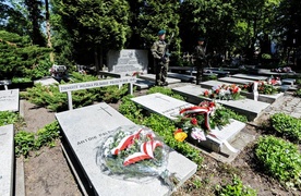 Nigdy więcej takiej wojny