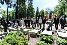 Nigdy więcej takiej wojny