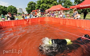 Pokazy, atrakcje i mundury