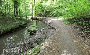 Co dalej z Bażantarnią