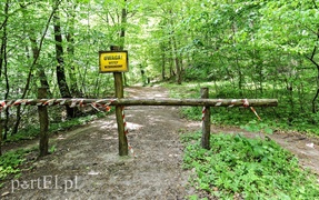 Co dalej z Bażantarnią
