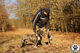 Galeria pod psem i kotem (Odc.2)