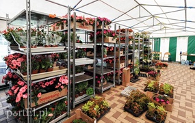 Segregacja odpadów weszła im w krew