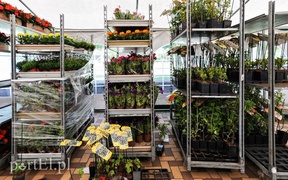 Segregacja odpadów weszła im w krew