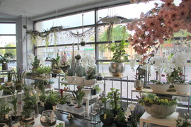 Dzień Matki w Kwiaciarni Romantycznej